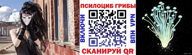 Псилоцибиновые грибы Psilocybe  Брюховецкая 